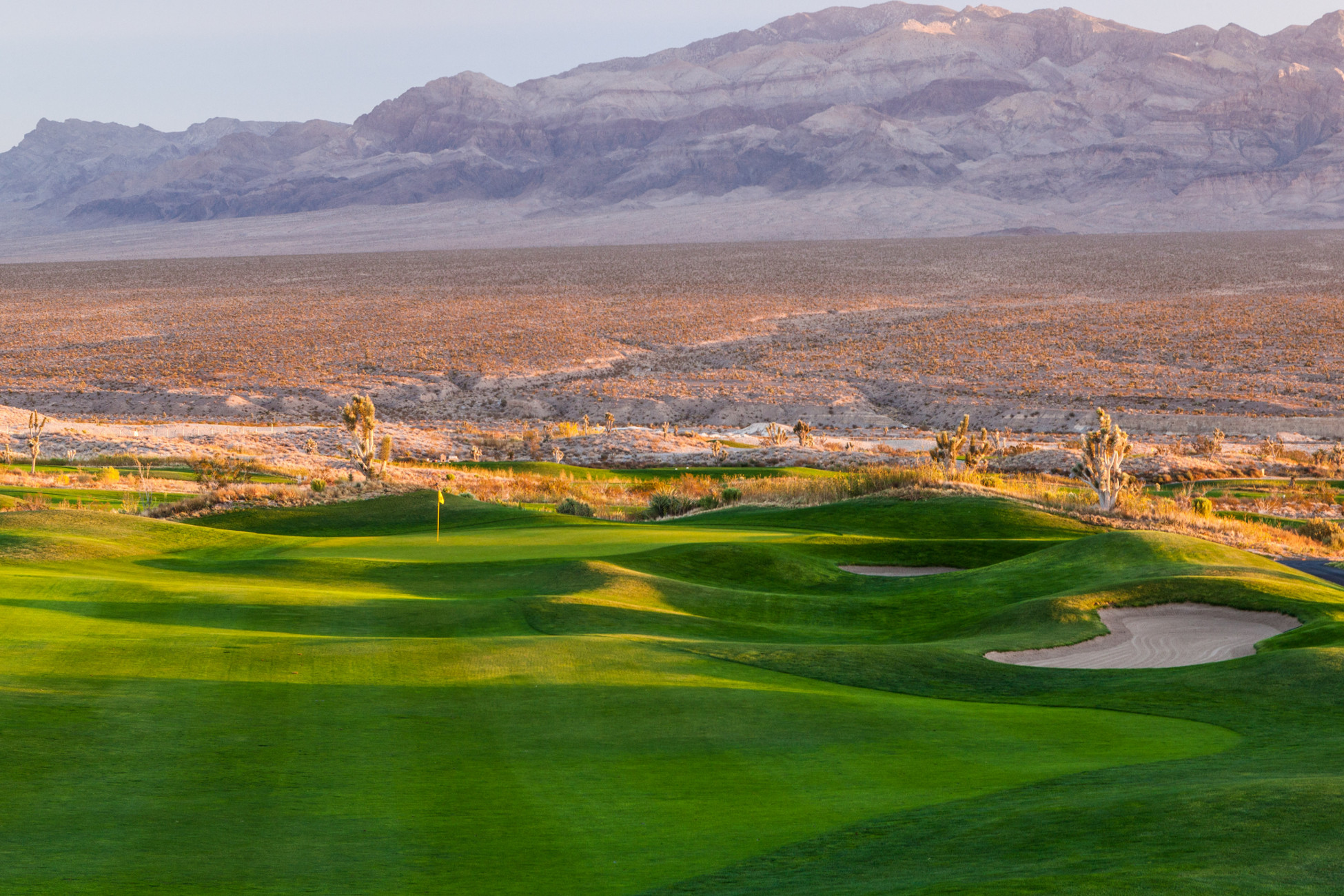 Troon Saguaro Amateur Series