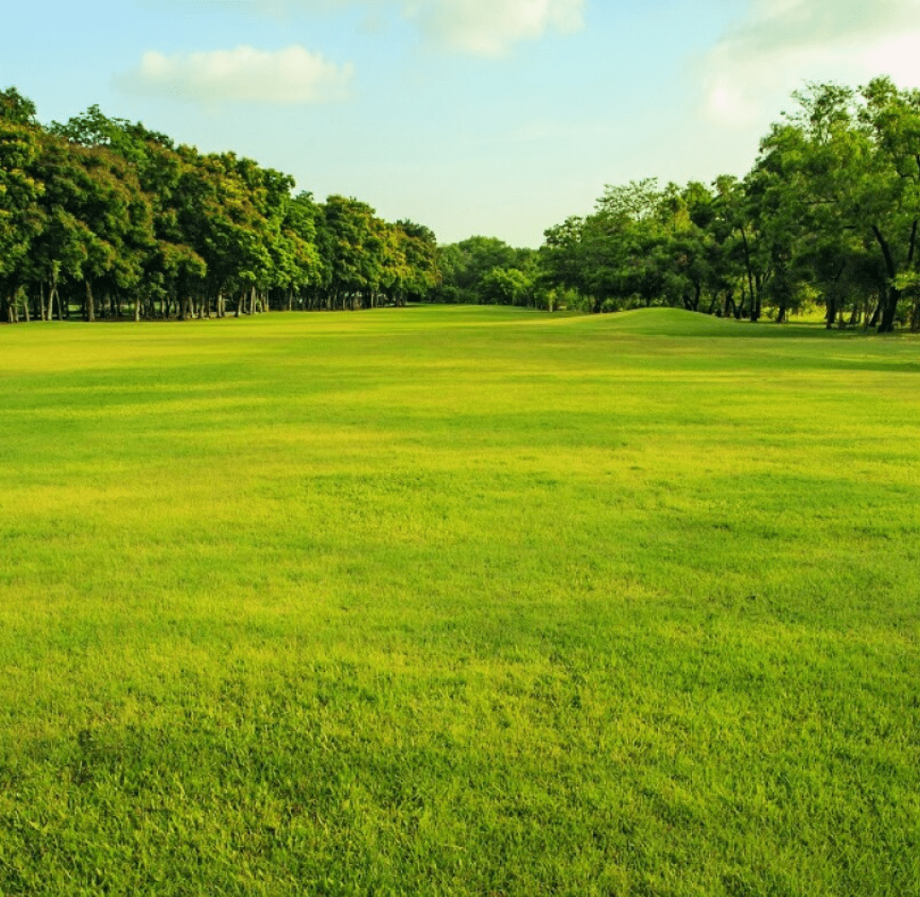 Jackson Park Golf Course in Chicago, surrounded by green trees